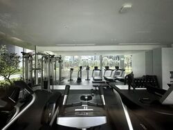 The M (D7), Apartment #482351861